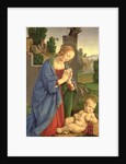 The Virgin Adoring the Child, 1490-1500 by Lorenzo di Credi