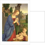 The Virgin Adoring the Child, 1490-1500 by Lorenzo di Credi