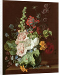 Hollyhocks and Other Flowers in a Vase, 1702-20 by Jan van Huysum