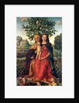 The Virgin and Child with St Anne, 1510-18 by Gerolamo dai Libri