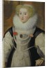 Portrait of an Elizabethan Lady with a Parrot by English School