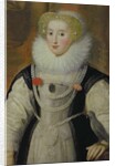 Portrait of an Elizabethan Lady with a Parrot by English School