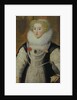 Portrait of an Elizabethan Lady with a Parrot by English School