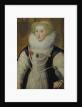 Portrait of an Elizabethan Lady with a Parrot by English School