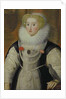 Portrait of an Elizabethan Lady with a Parrot by English School