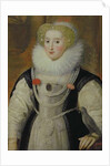 Portrait of an Elizabethan Lady with a Parrot by English School