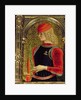 St. George by Carlo Crivelli