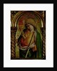 St. James the Less by Carlo Crivelli