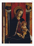 Madonna and Child, detail from the San Silvestro polyptych, 1468 by Carlo Crivelli