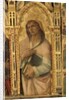 St. John the Evangelist by Carlo Crivelli