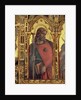 St. James by Carlo Crivelli