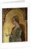 St. Mary Magdalene by Carlo Crivelli