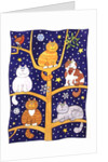 Five Christmas Cats by Cathy Baxter