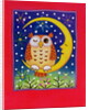 The Winking Owl, 1997 by Cathy Baxter