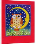 The Winking Owl, 1997 by Cathy Baxter