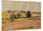 Suffolk Landscape, 1980 by Brenda Brin Booker