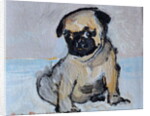 Vincent, the pug puppy by Brenda Brin Booker