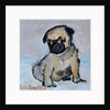 Vincent, the pug puppy by Brenda Brin Booker