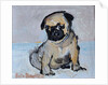 Vincent, the pug puppy by Brenda Brin Booker