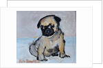 Vincent, the pug puppy by Brenda Brin Booker