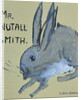 A Rabbit named Mr Nutall Smith by Brenda Brin Booker