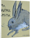 A Rabbit named Mr Nutall Smith by Brenda Brin Booker