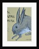 A Rabbit named Mr Nutall Smith by Brenda Brin Booker