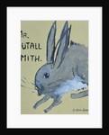 A Rabbit named Mr Nutall Smith by Brenda Brin Booker