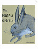 A Rabbit named Mr Nutall Smith by Brenda Brin Booker