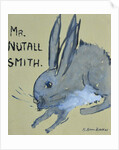 A Rabbit named Mr Nutall Smith by Brenda Brin Booker