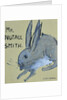 A Rabbit named Mr Nutall Smith by Brenda Brin Booker
