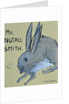 A Rabbit named Mr Nutall Smith by Brenda Brin Booker