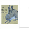 A Rabbit named Mr Nutall Smith by Brenda Brin Booker