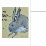 A Rabbit named Mr Nutall Smith by Brenda Brin Booker
