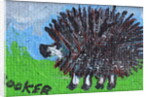 Hedgehog by Brenda Brin Booker