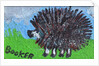 Hedgehog by Brenda Brin Booker