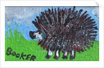 Hedgehog by Brenda Brin Booker