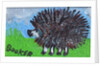 Hedgehog by Brenda Brin Booker