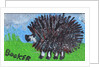 Hedgehog by Brenda Brin Booker