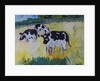 Young Bullocks in a Meadow, 1982 by Brenda Brin Booker