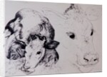 Calves, Gt Garnetts II by Brenda Brin Booker