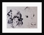 Calves, Gt Garnetts II by Brenda Brin Booker