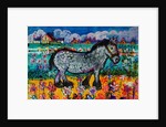 Horse by Brenda Brin Booker
