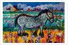 Horse by Brenda Brin Booker