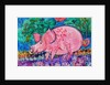 Pig by Brenda Brin Booker