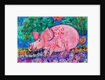 Pig by Brenda Brin Booker