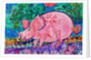 Pig by Brenda Brin Booker