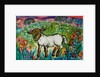 Lamb by Brenda Brin Booker