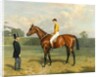 Ormonde, Winner of the 1886 Derby, 1886 by Emil Adam