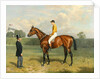 Ormonde, Winner of the 1886 Derby, 1886 by Emil Adam